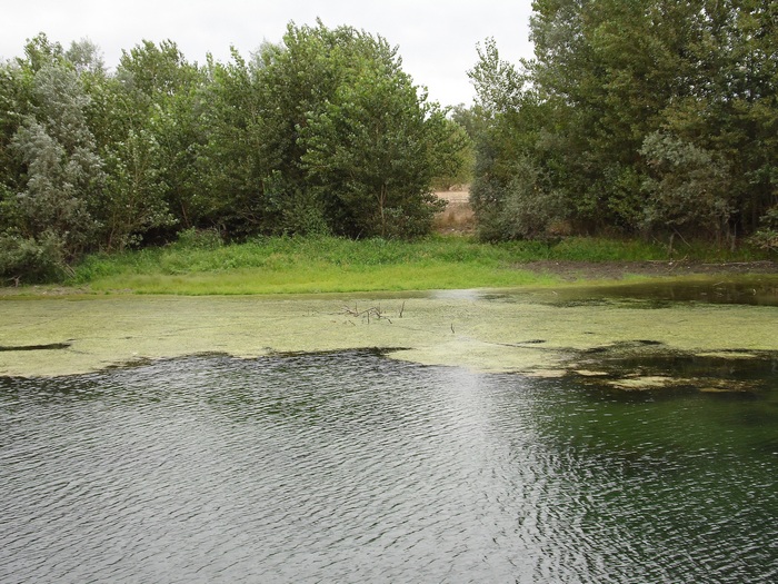 Parco del Ticino 31.8.12